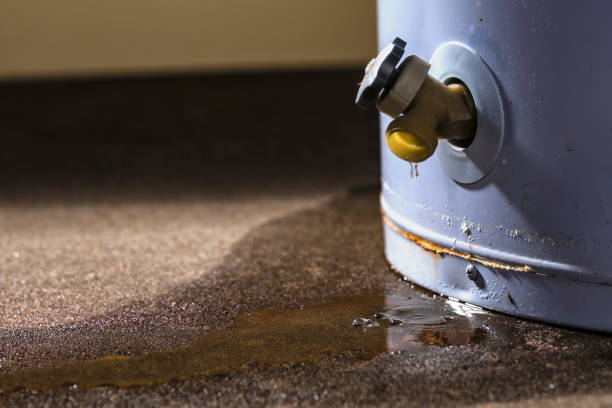 Best Professional water damage repair  in Nitro, WV