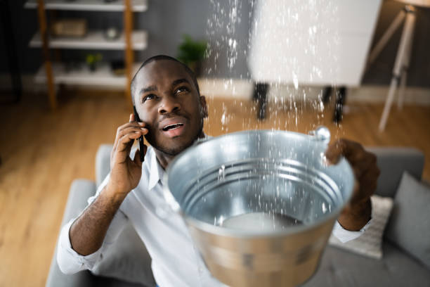 Best Water damage cleanup near me  in Nitro, WV