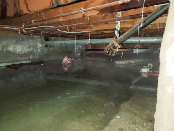 Best Residential water damage restoration  in Nitro, WV