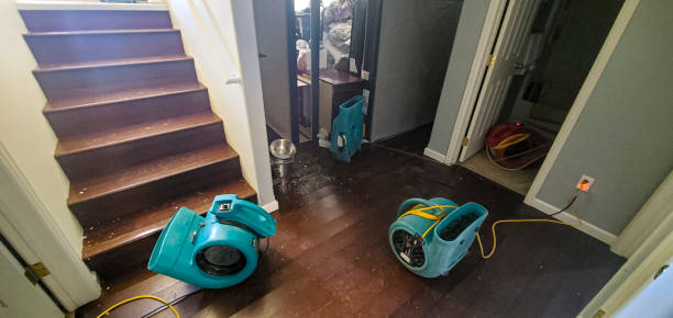 Best Water damage cleanup near me  in Nitro, WV