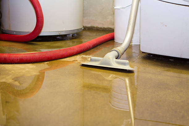 Best 24-hour water damage restoration  in Nitro, WV