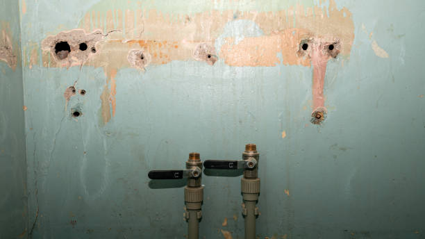 Best Ceiling water damage repair  in Nitro, WV