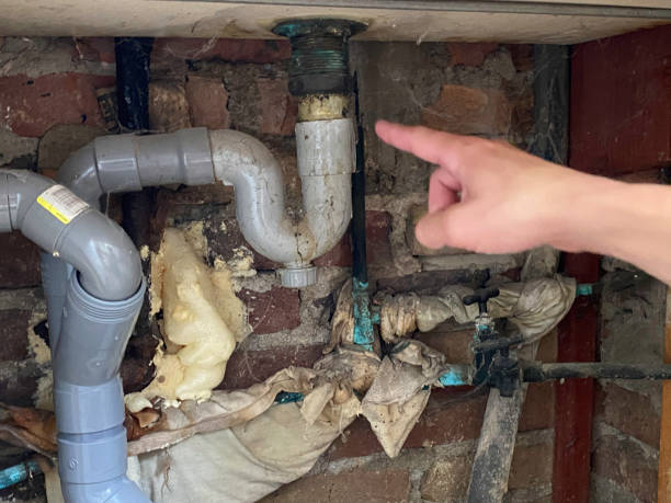 Best 24/7 water damage repair  in Nitro, WV